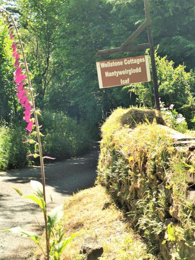 Romantic With Private Hot Tub Country house Llanfyrnach